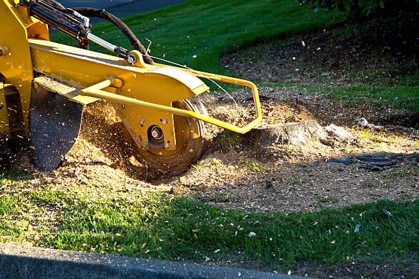 Artificial Turf Installation in Owosso, MI